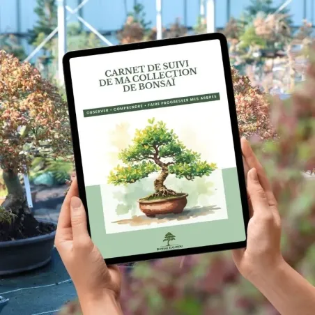Carnet de suivi collection de bonsaï – PDF à télécharger FR