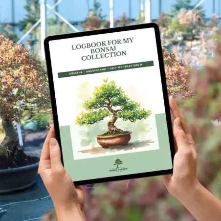 Bonsai Collection Logbook – Downloadable PDF ENGLISH VERSION
