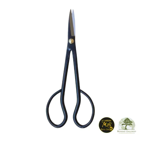 CISEAUX AZALEES JAPON ACIER 18 cm 1-12