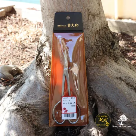 image supplémentaire - Japanese Azalea Scissors,...