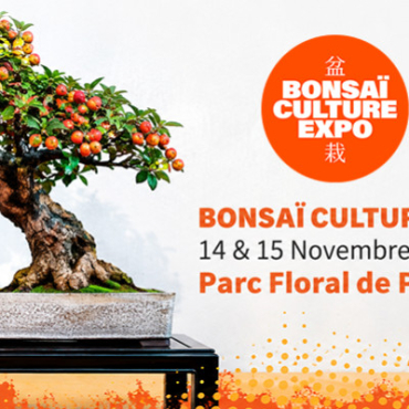Retrouvez Bonsaï Galinou à Bonsaï Culture Expo Paris 2026 les 14 & 15 novembre !